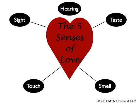 Die ersten einblicke in die sendung. The 5 Senses of Love — MTN Universal