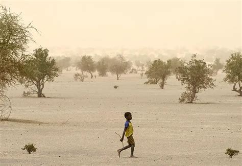 Sahel Accélérer La Croissance Et Prioriser Ladaptation Climatique