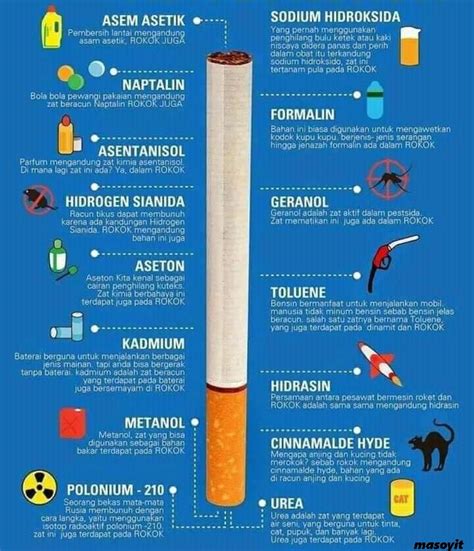 15 Kandungan Pada Rokok Yang Terdapat Pada Benda Lain Sekolahin