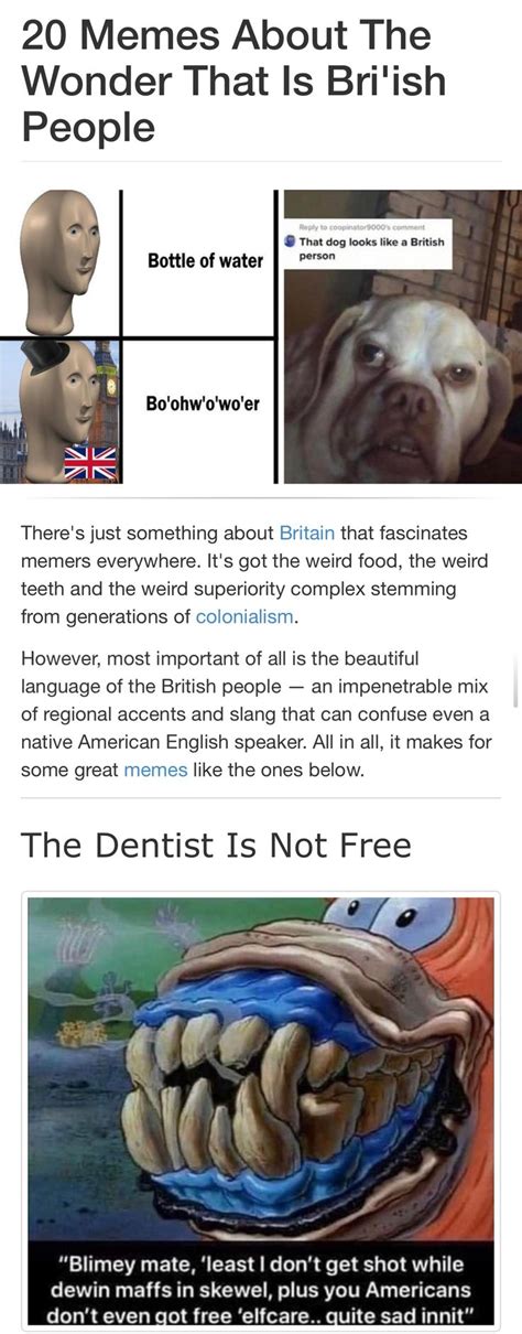 20 Memes About The Wonder That Is Briish People In 2021 Memes British Memes American Slang
