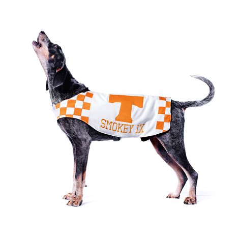 Smokey Mascots Of The Southeastern Conference Espn