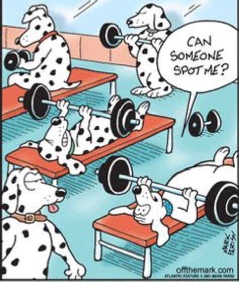 Pin By Anne Wright On Weights And Warpaint Funny Cartoons Workout