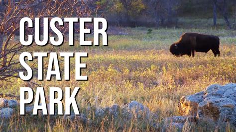 Custer State Park South Dakota Youtube