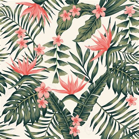 Tropical Wallpapers Tropical Print Wallpapers Top Free Tropical Print
