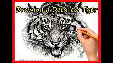 Drawing A Realistic Tiger With Pen Youtube
