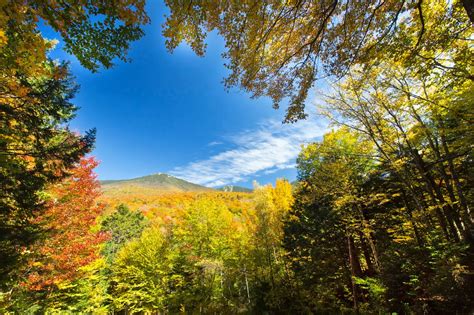 The Freelance Adventurer 5 Best Fall Foliage Hikes In The White Mountains