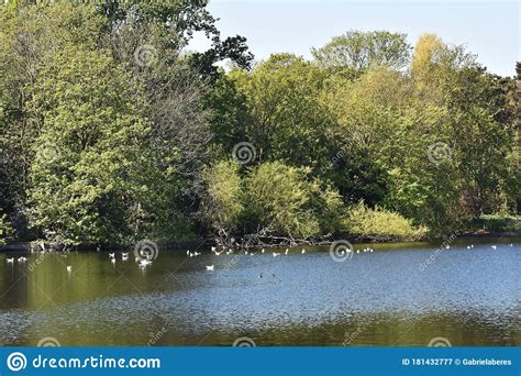 Beautiful Spring Landscape In The Park Stock Image