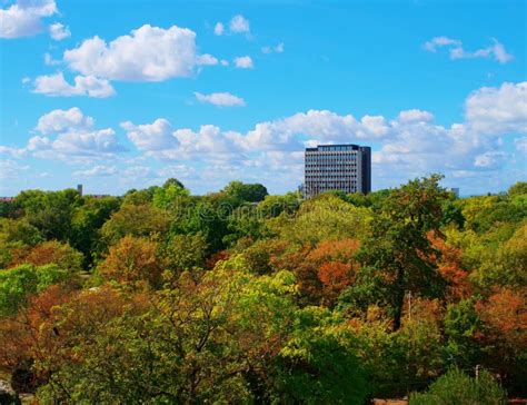 City Surrounded By Forest Stock Image Image Of Tampa 24041199
