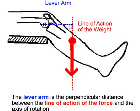 Solved Part Iv Applying The Model 1 Using Your