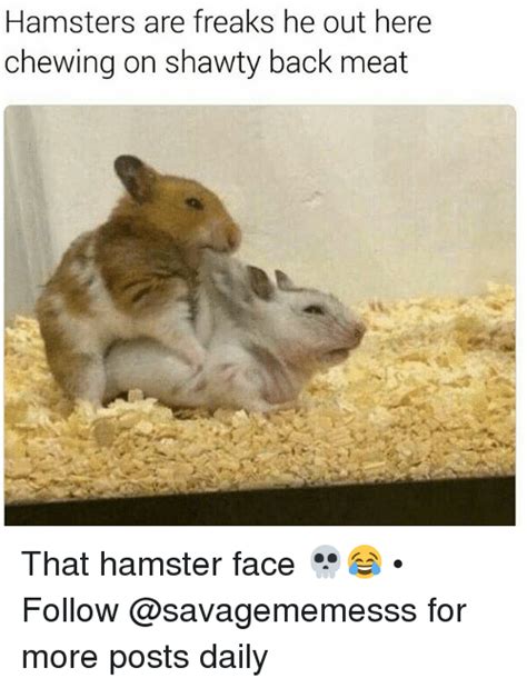 Hamsters Are Freaks He Out Here Chewing On Shawty Back