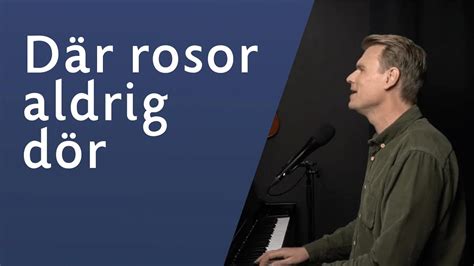 Där Rosor Aldrig Dör Sveinung Hølmebakk Youtube