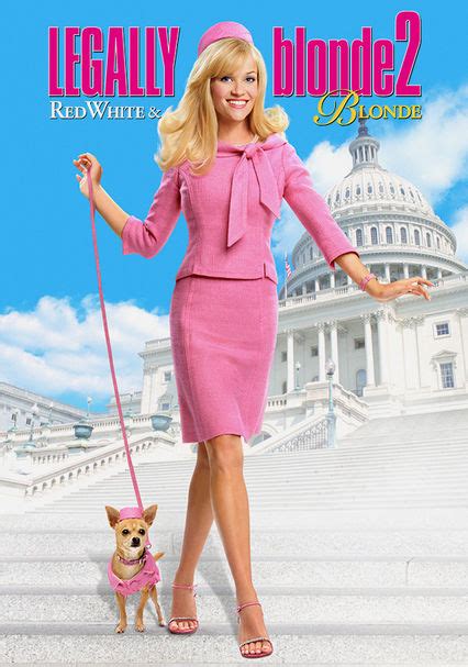 Rent Legally Blonde 2 Red White And Blonde 2003 On Dvd And Blu Ray