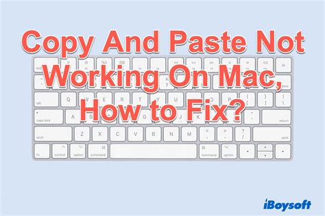 Copy And Paste Not Working On Mac Get Quick Solutions