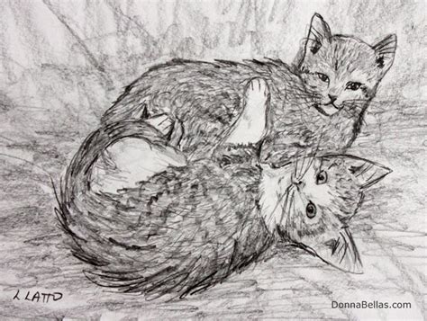 Donnabellas Doodle Images Of Cute Cats Drawings Pet Portraits