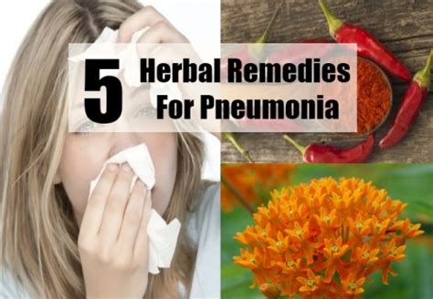 Tips On How To Treat Pneumonia Various Pneumonia Treatments