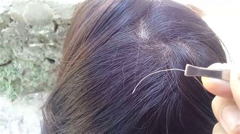 Pulling Out A White Hair From Your Head Causes More Asianbeautyhub