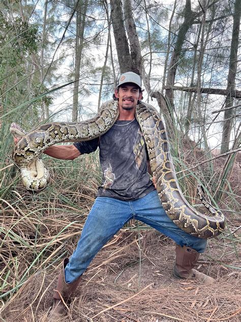 Hunting Burmese Pythons In The Everglades Hernando Sun