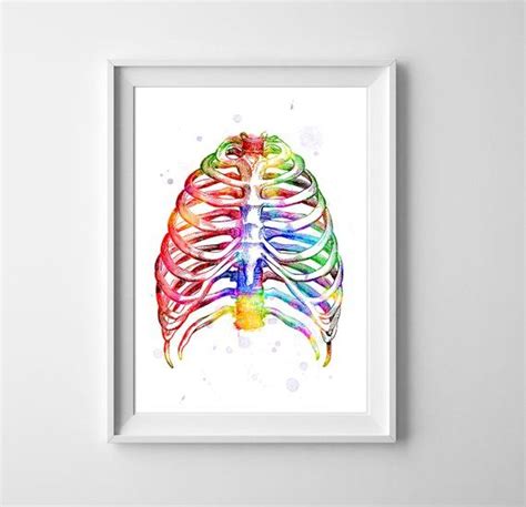 #rib cage #anatomy #bones #organs #heart #merch #watercolor #traditional art #my art. Rib cage poster, Anatomy art, Medical art print, Medical ...