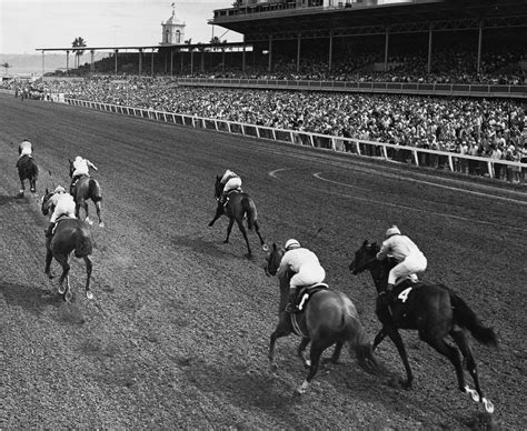 Down The Stretch They Go At Del Mar In The 60s Race Track