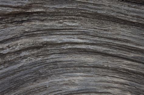 Curving Grain In Gray Wood Clippix Etc Educational Photos For