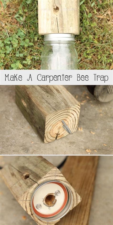 This diy plan uses only four supplies but will save your treehouses, wood trim, and lawn furniture for years to come. Make a carpenter bee trap for your home with this DIY ...