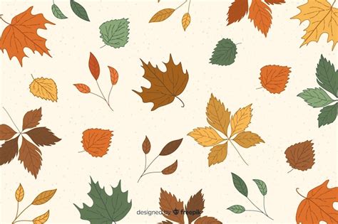 Free Vector Hand Drawn Leaves Autumn Background