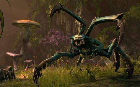 Stunning New Elder Scrolls Online Screenshots Menacing Spider Type