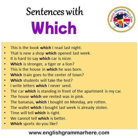 Sentences With Which 15 Sentences With Which In English English