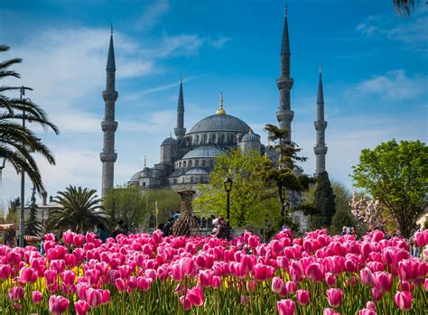 Blue Mosque - Istanbul Tour Studio - Istanbul Guide