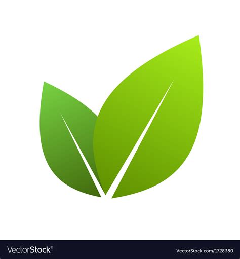 Green Leaves Royalty Free Vector Image Vectorstock