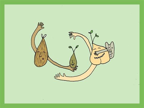 an illustrated guide benefits to soaking and sprouting legumes grains and seeds kqed