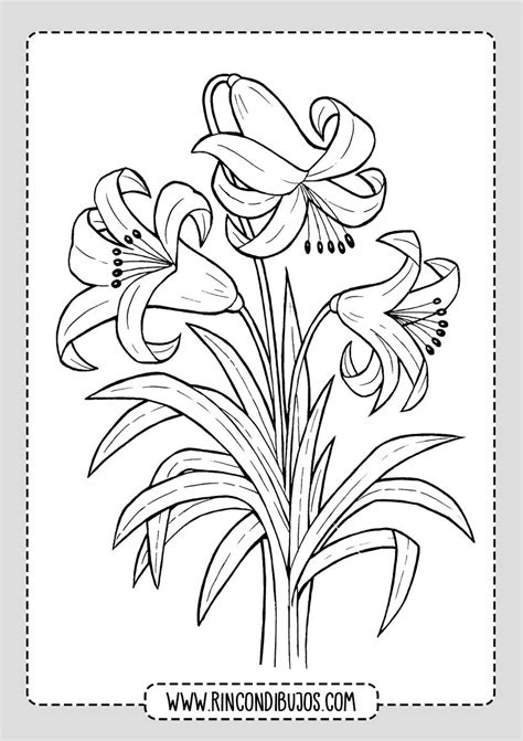 Dibujos De Flores Para Pintar Rincon Dibujos Dibujos De Flores
