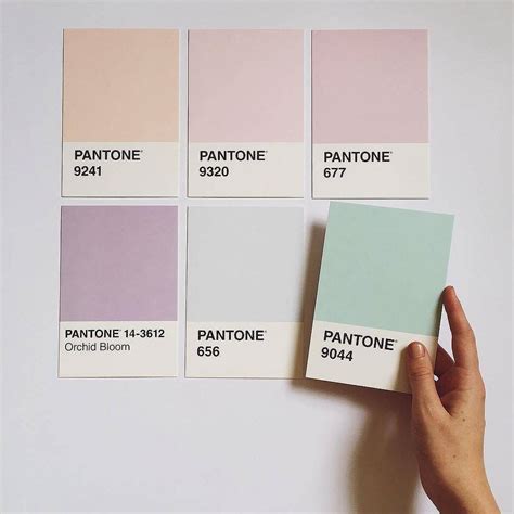 This Soothing Color Palette Has Us Dreaming Of Soft Pastels 📷 By