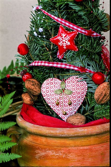free images winter light star flower celebration pine love heart red holiday