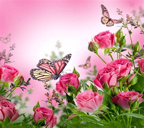 Butterflies Desktop Background Wallpaper Free Butterflies Pinterest