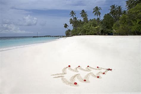 Tropical Christmas Maldives Islands Bandos Island Ultra Hd Desktop