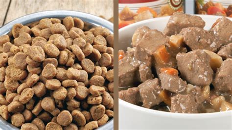 Wet food is more expensive and less easy to use but can be beneficial in cats prone to lower urinary tract. Benefits of Organic Dog Food | Dog.DogLuxuryBeds.com