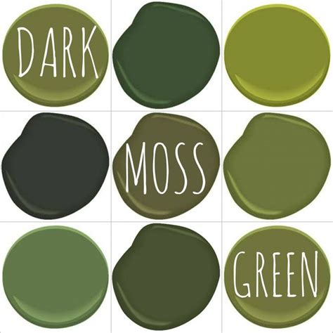 Color On Trend Deep Mossy Olive Green Green House Exterior Paint