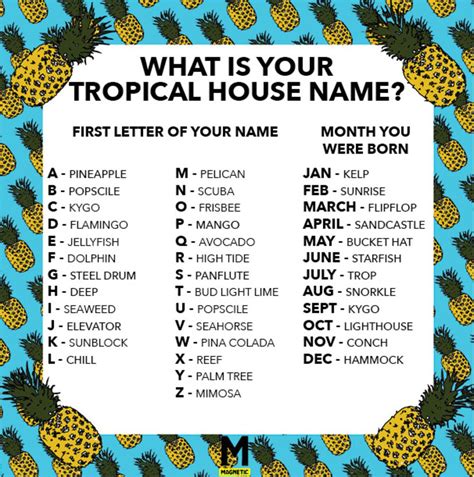 We Made You A Tropical House Name Generator Magnetic Magazine Funny Name Generator Silly