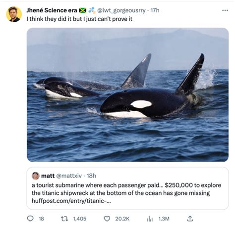 Taylor Swift Reference Orca Wars Killer Whales Attacking Boats