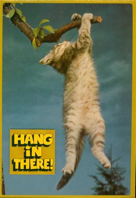 There were several versions of the hang in there, baby poster, featuring a picture of a cat or kitten, hanging onto a stick. The Inaugural Edition of Meme Monday! - Things That Start ...