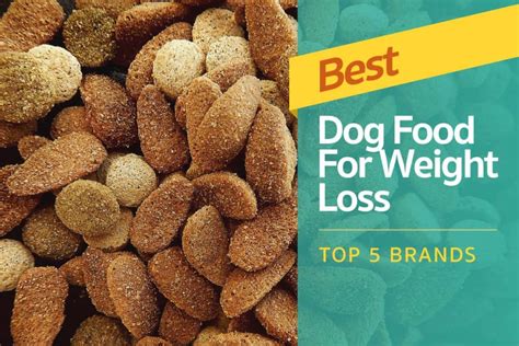 We start our list of the best dog food brands with taste of the wild grain free high protein dry dog food. Best Dog Food For Weight Loss: Top 5 Brands