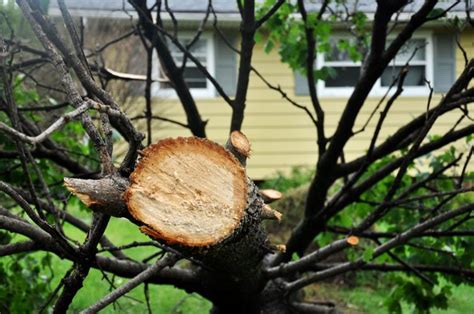 Powerful Storm Damages Homes Downs Trees In Fort Atkinson News