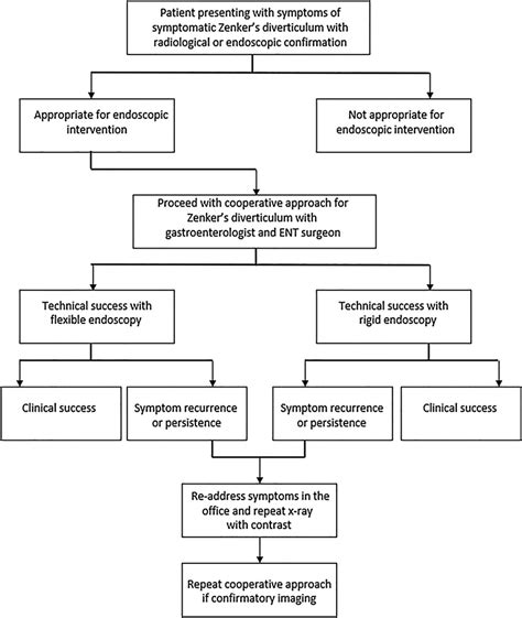 Diagnostic And Treatment Algorithm For Symptomatic Zenkers