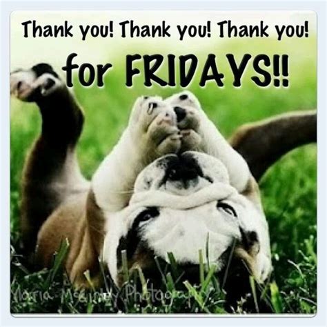 There are different ways to say thank you after you have been rendered a service and in this well sorted meme we will show you the best funny and uncommon way to say thank you for your service using memes. Thank You For Friday Pictures, Photos, and Images for ...