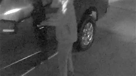 Thief Caught On Night Vision Camera