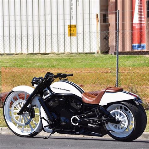 Harley Davidson V Rod Muscle Custom By Dgd Custom