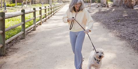 A Letter To The Woman Walking Her Dog In My Neighborhood Huffpost