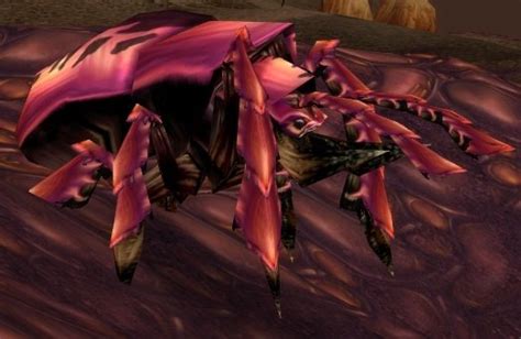Maybe you would like to learn more about one of these? Hive'Regal Burrower - Wowpedia - Your wiki guide to the ...