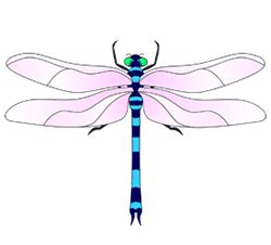 Because you're drawing a symmetrical dragonfly, start it off with a vertical centerline. Dragonfly Drawings